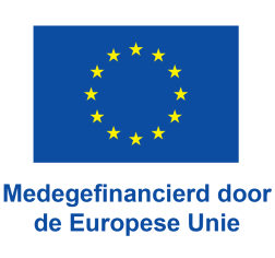 Medegefinancierd door de Europese Unie